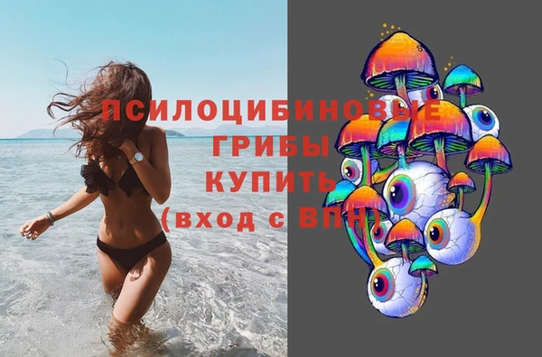 мяу мяу мука Абинск