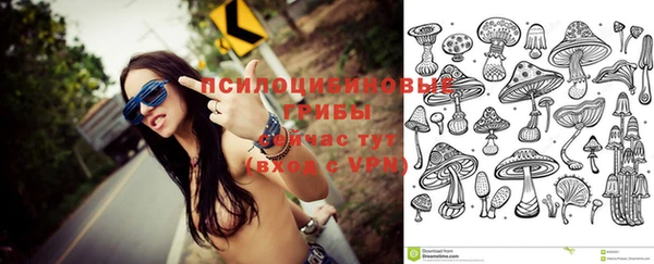 бошки Абдулино