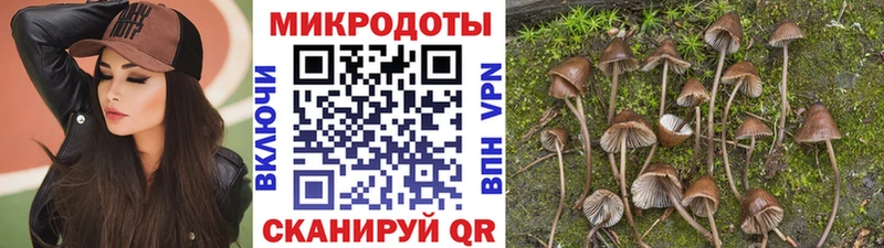 Псилоцибиновые грибы ЛСД  мега сайт  Благодарный 
