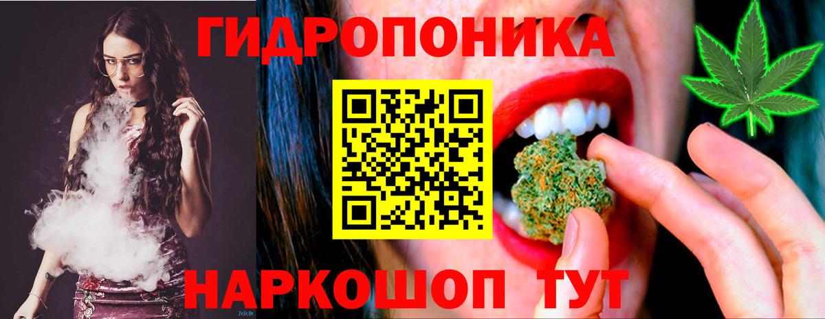 Канабис гибрид  Марихуана конопля  Каннабис планчик  Канабис ГИДРОПОН  Благодарный  Вход с VPN 